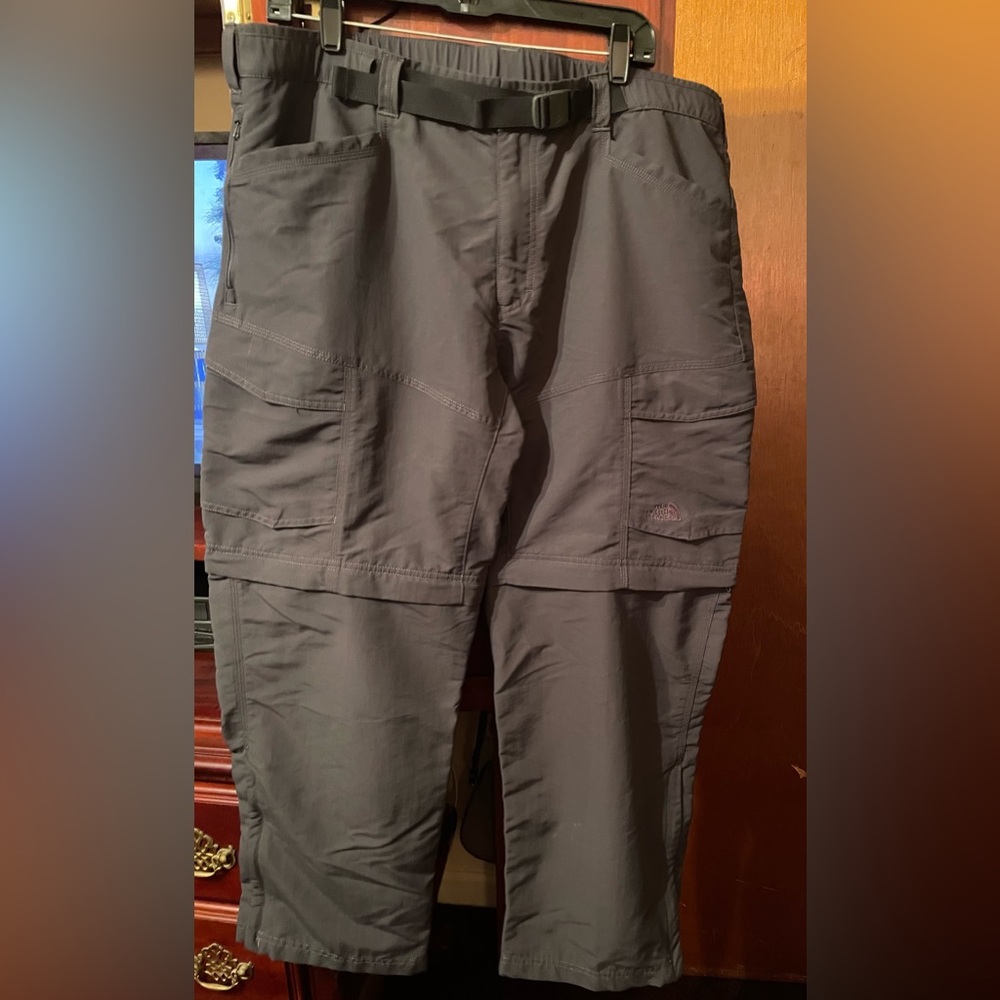 North Face Transformer Cargo Pant, Mens (New)
